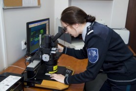 Și-a cumpărat permis de conducere cu 350 de euro, dar a fost reținut la vamă